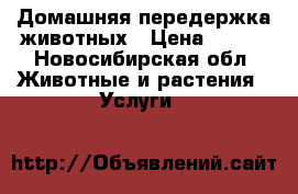 Домашняя передержка животных › Цена ­ 150 - Новосибирская обл. Животные и растения » Услуги   